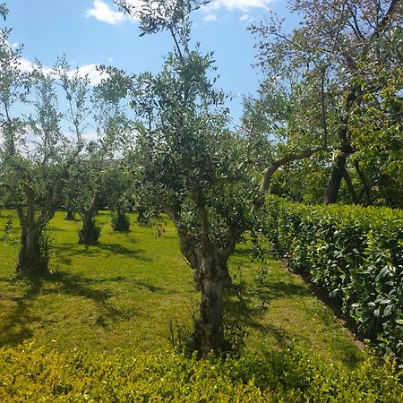 Il Giardino Di Athena 1 Apartment Паестум Екстериор снимка