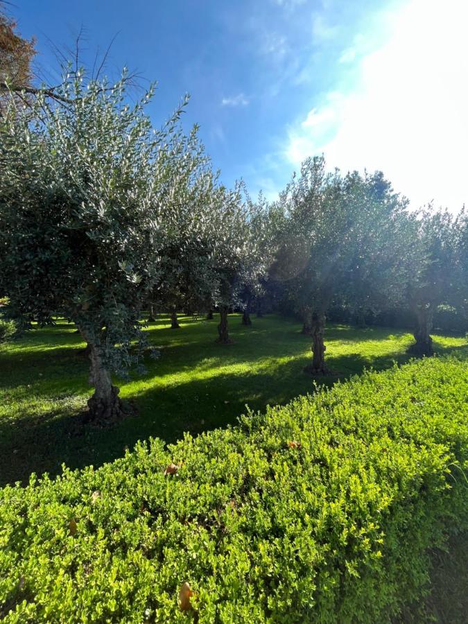 Il Giardino Di Athena 1 Apartment Паестум Екстериор снимка