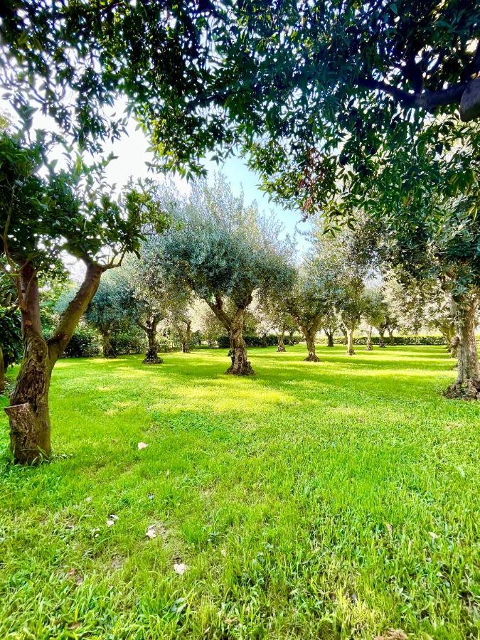 Il Giardino Di Athena 1 Apartment Паестум Екстериор снимка