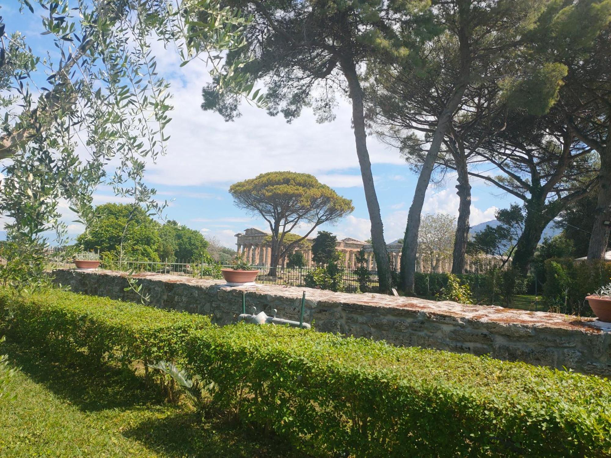 Il Giardino Di Athena 1 Apartment Паестум Екстериор снимка
