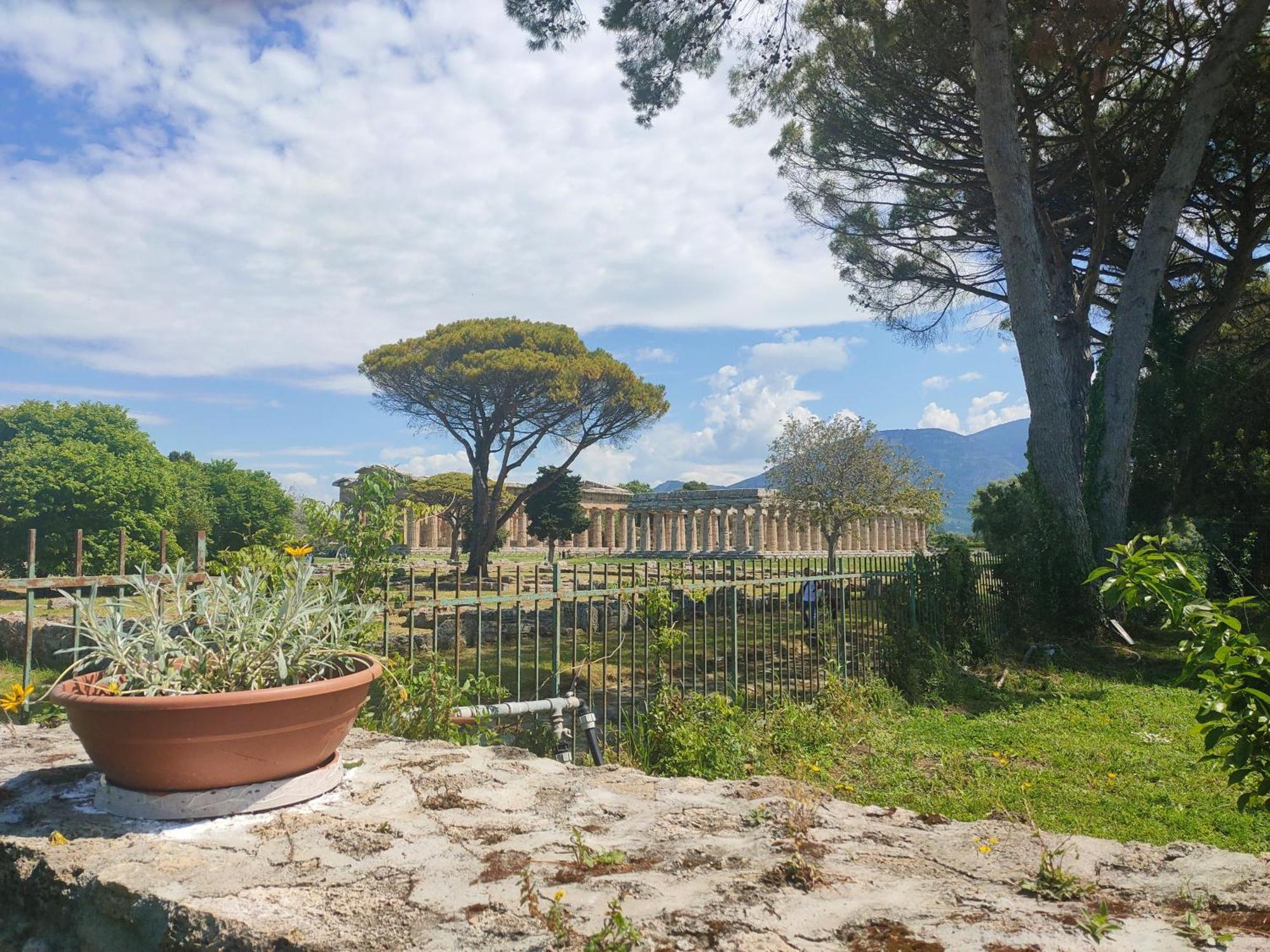 Il Giardino Di Athena 1 Apartment Паестум Стая снимка