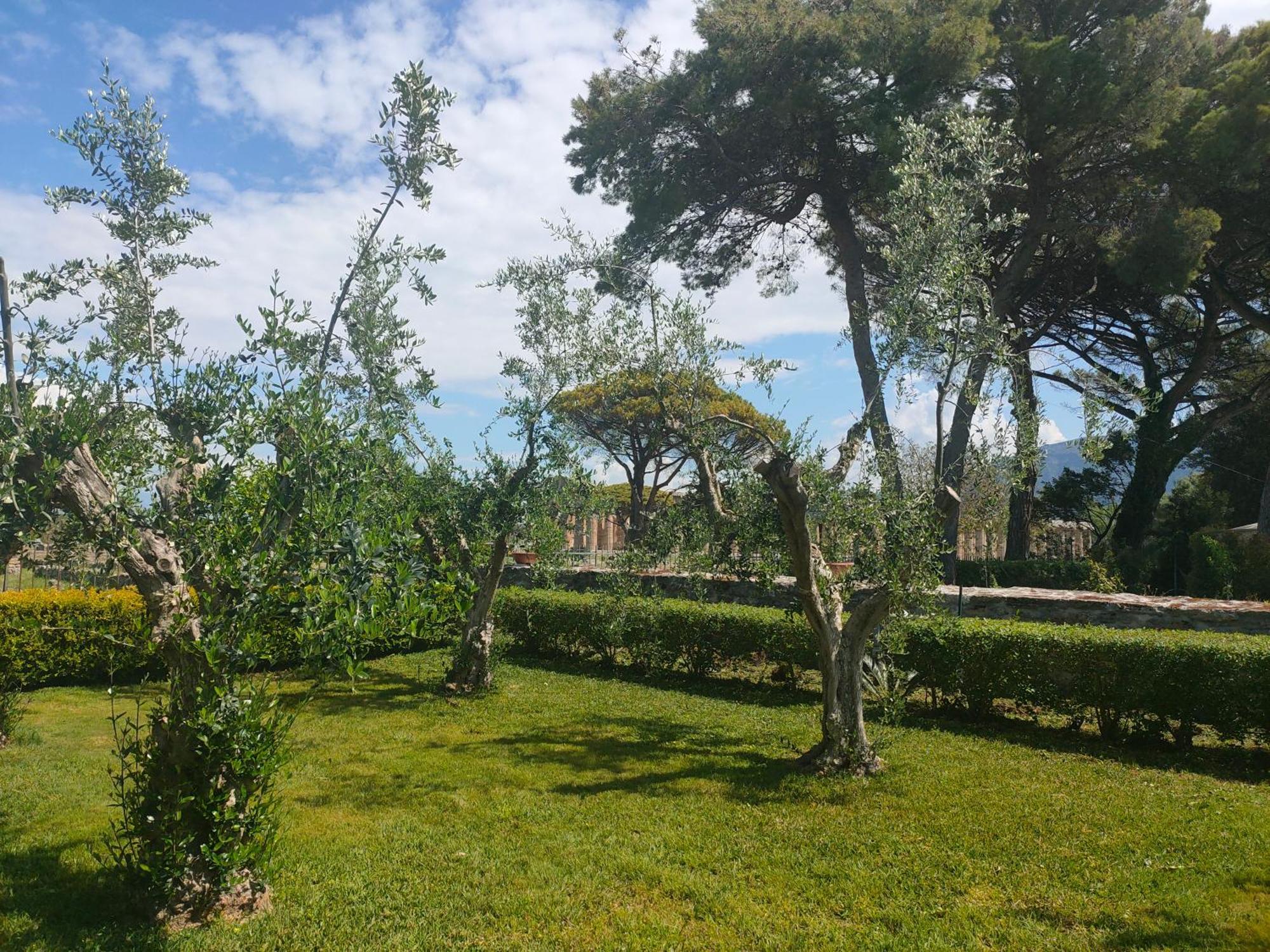 Il Giardino Di Athena 1 Apartment Паестум Екстериор снимка