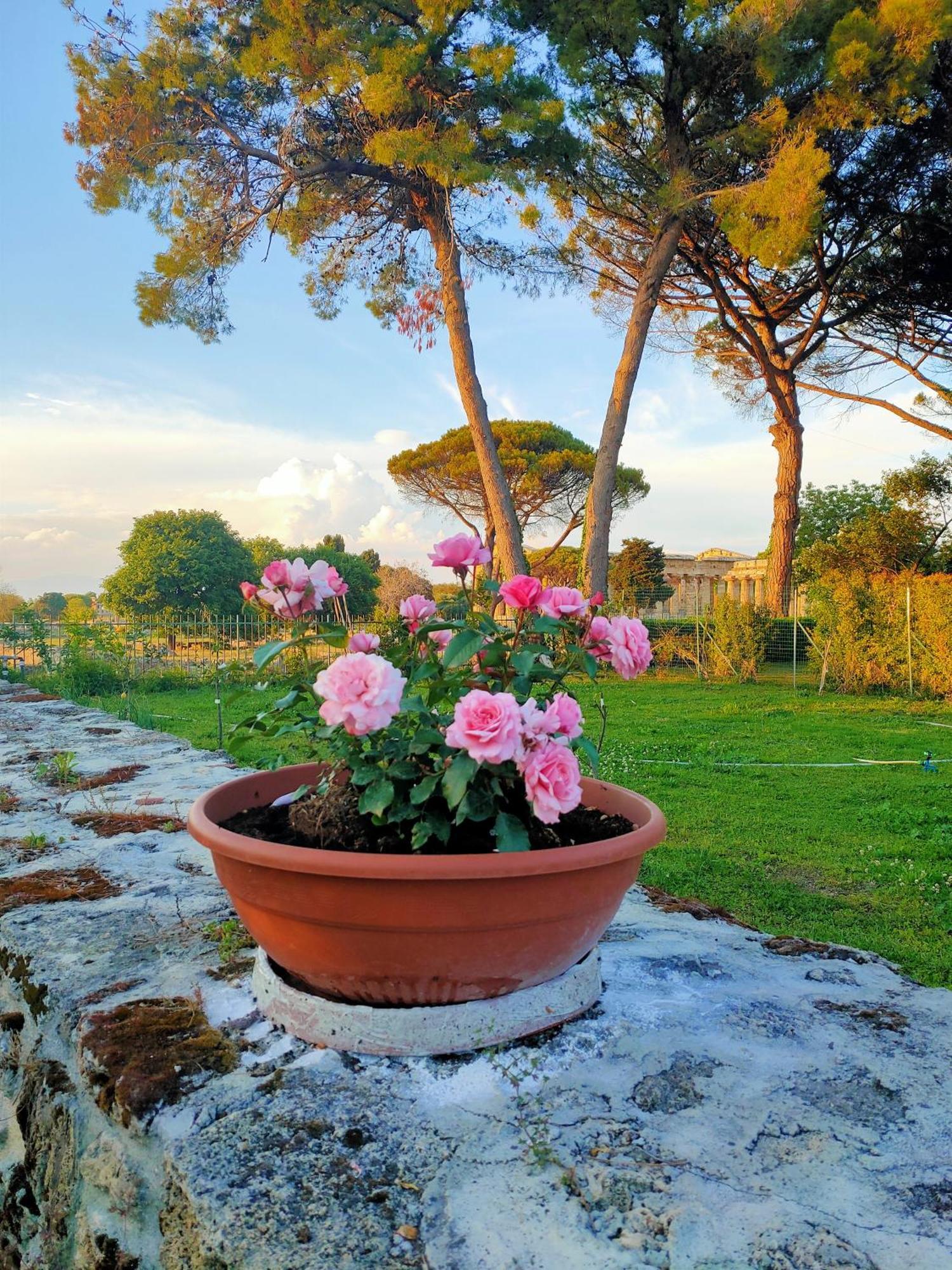 Il Giardino Di Athena 1 Apartment Паестум Екстериор снимка